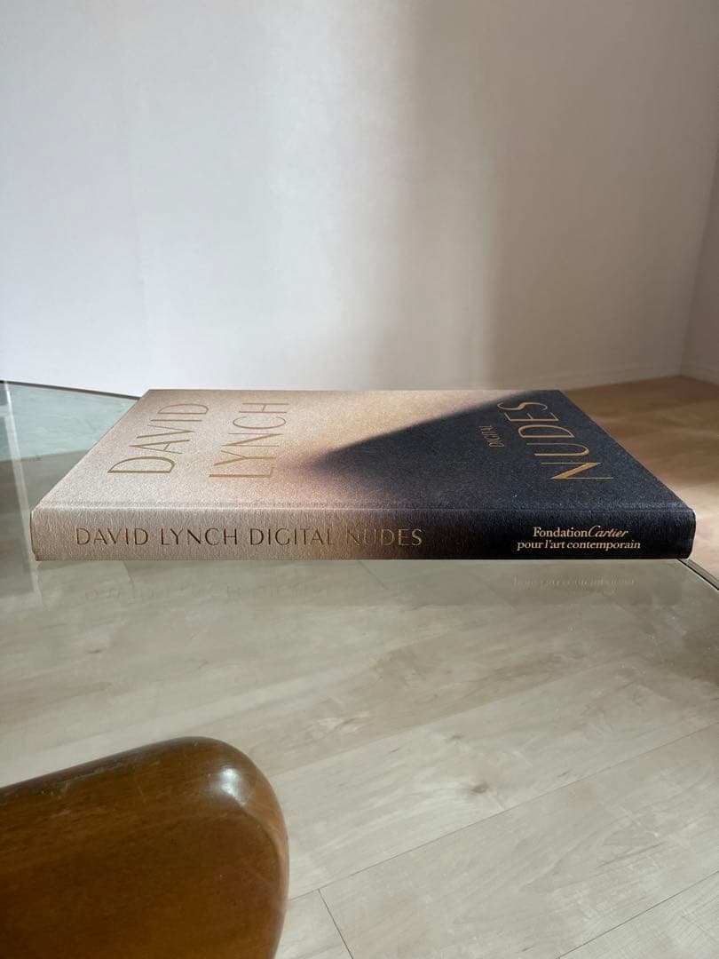 洋書 David Lynch Digital Nudes