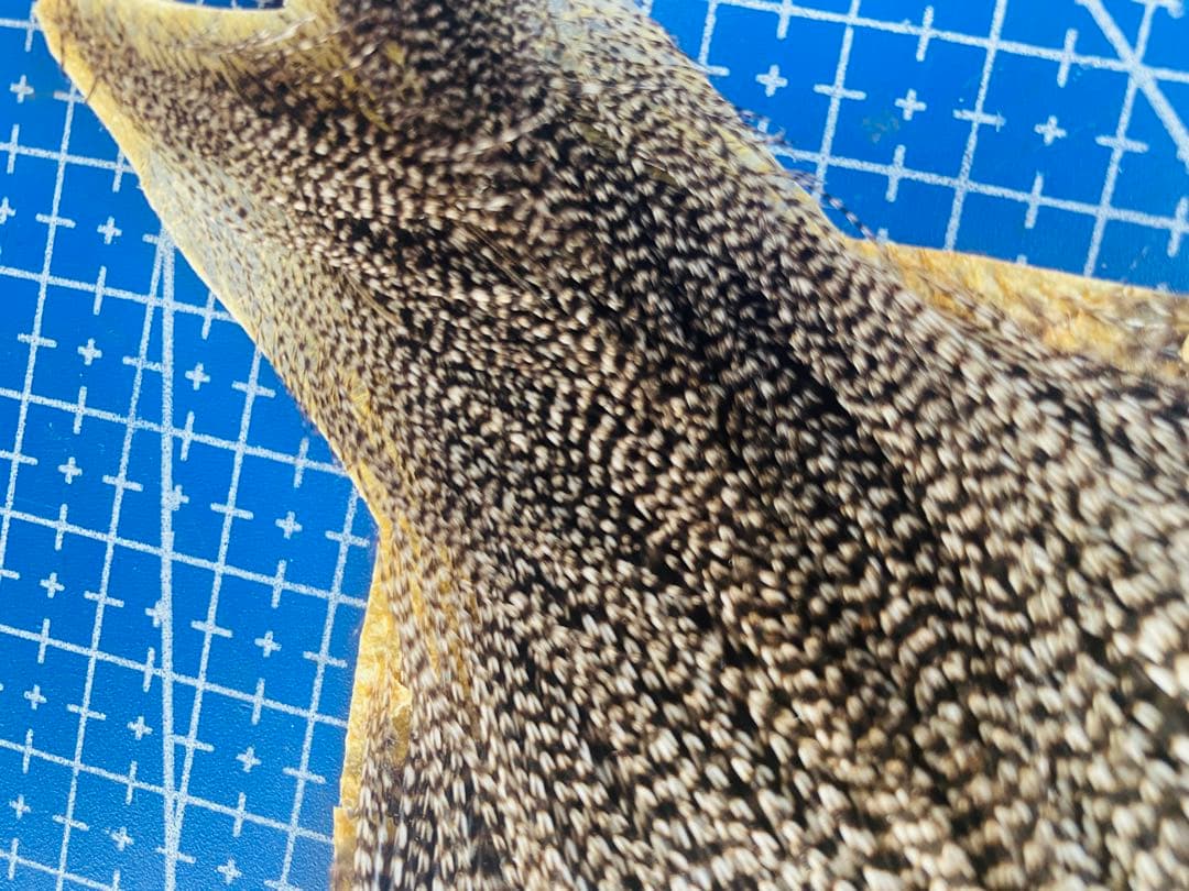 WHITING ハックル ホワイティング グリズリーフライフライマテリアル