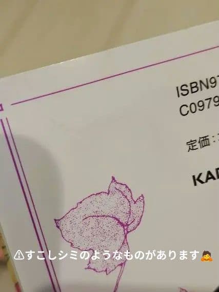 ある日、お姫様になってしまった件について 12巻セット