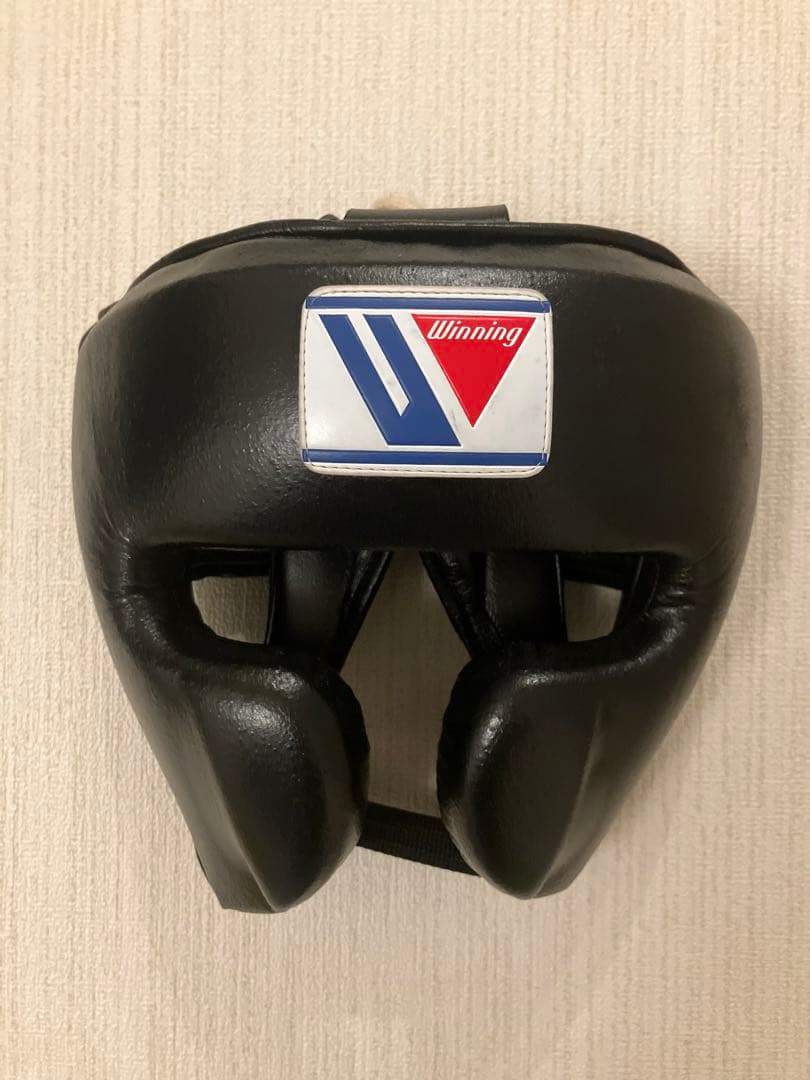 Winning ヘッドギア フルフェイスタイプ ブラック L FG-2900