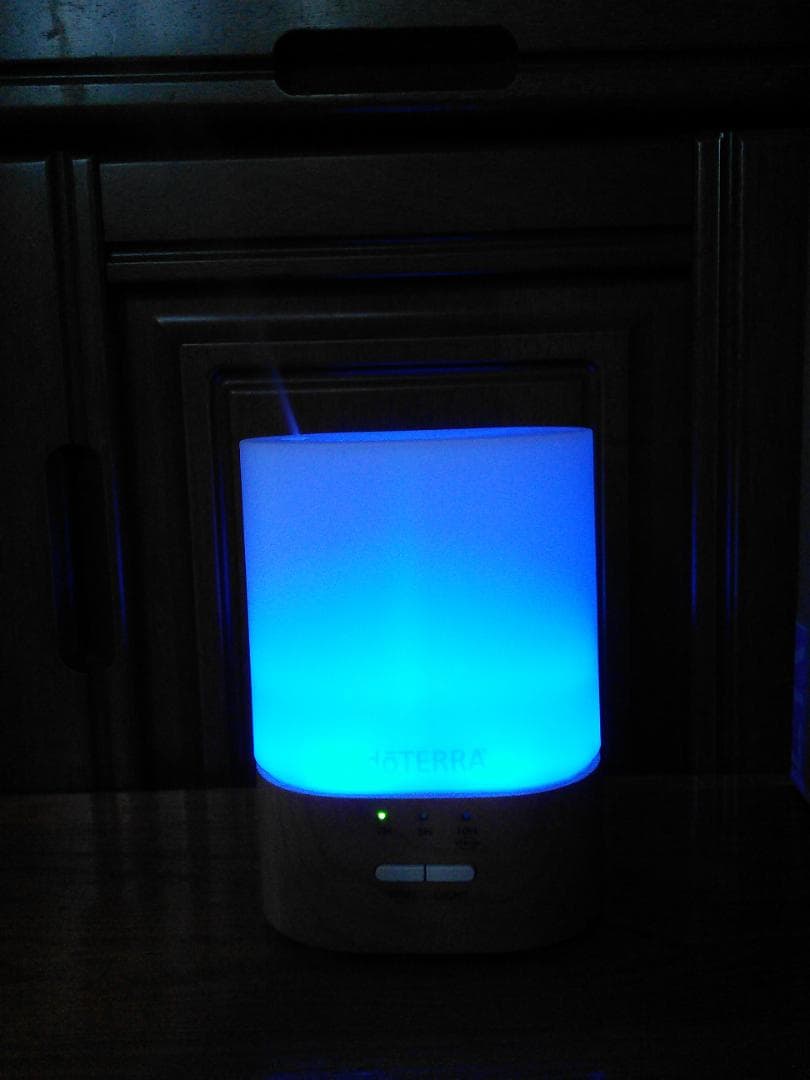 20日23時までリピート　はちゅん