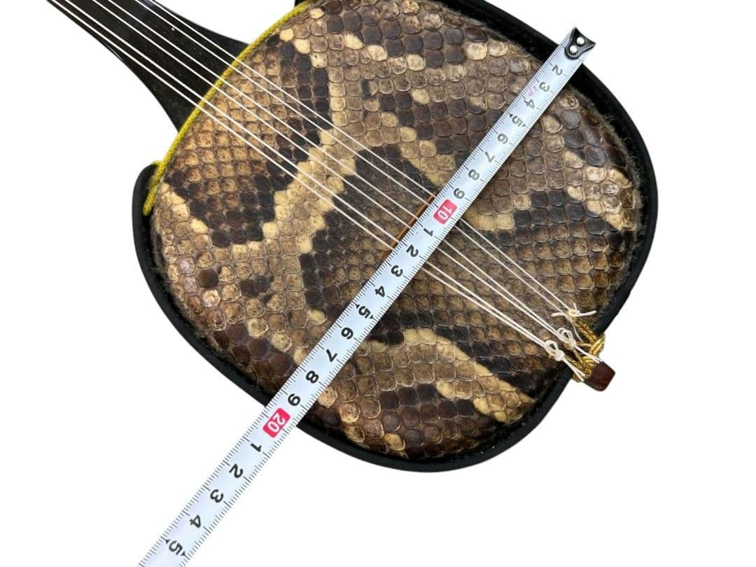 沖縄三線 六線 ヘビ柄 本革 強化張り ハードケース付