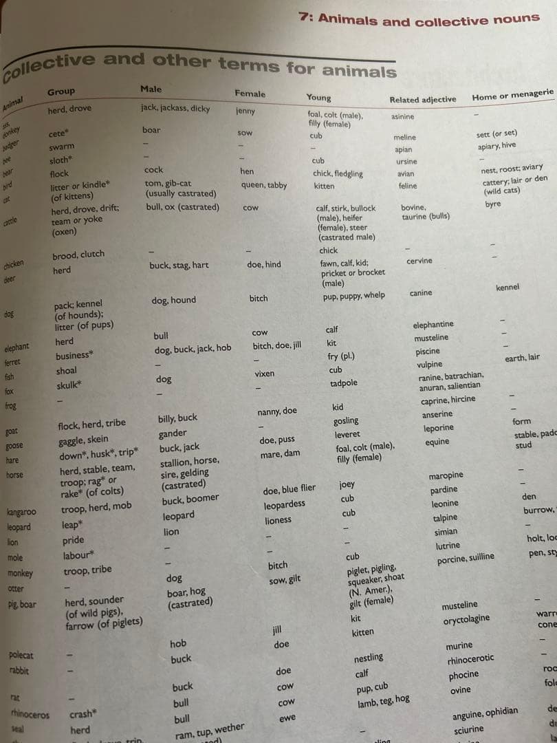 Reader’s DigestWord Power Dictionary英英辞典