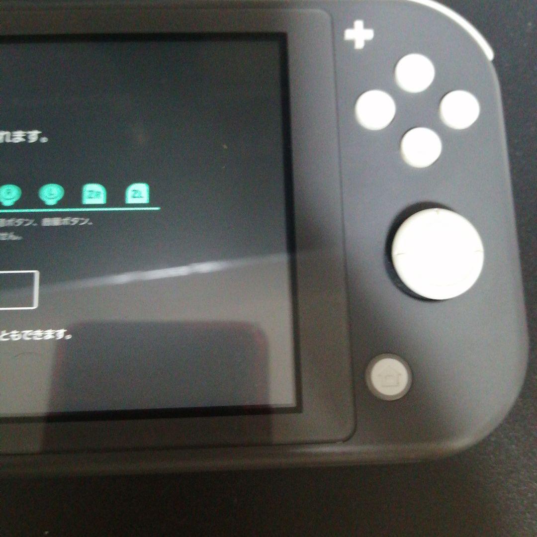 Nintendo Switch Lite グレー 本体 中古品 動作不良なし
