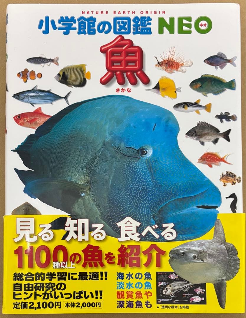 小学館の図鑑　NEO 9冊 小学館のこども図鑑　プレNEO 2冊