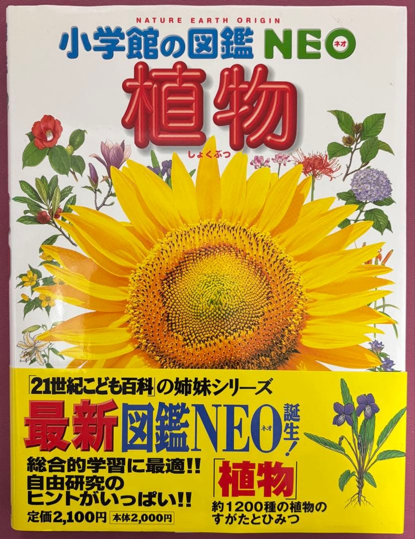 小学館の図鑑　NEO 9冊 小学館のこども図鑑　プレNEO 2冊