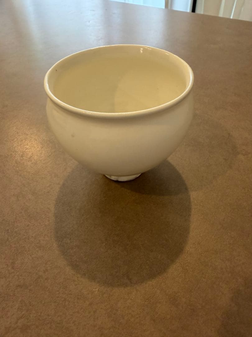 新品未使用2個セット 鈴木環 ピジョンカップ Mサイズ