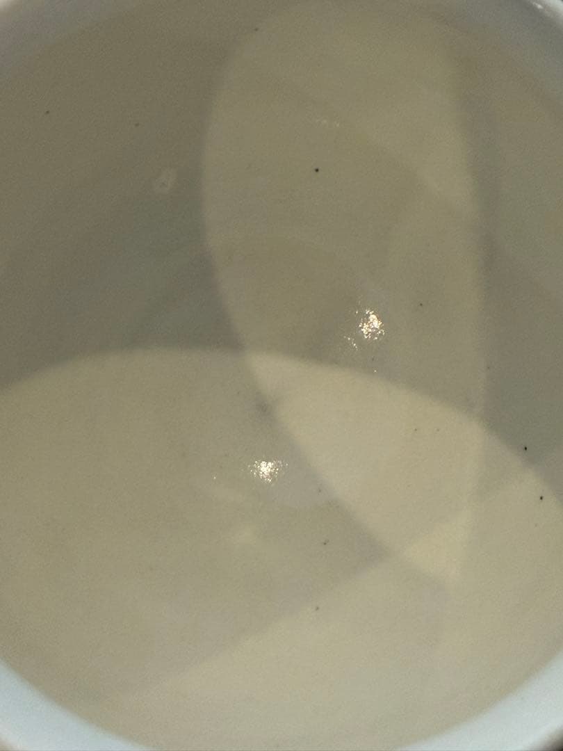 新品未使用2個セット 鈴木環 ピジョンカップ Mサイズ