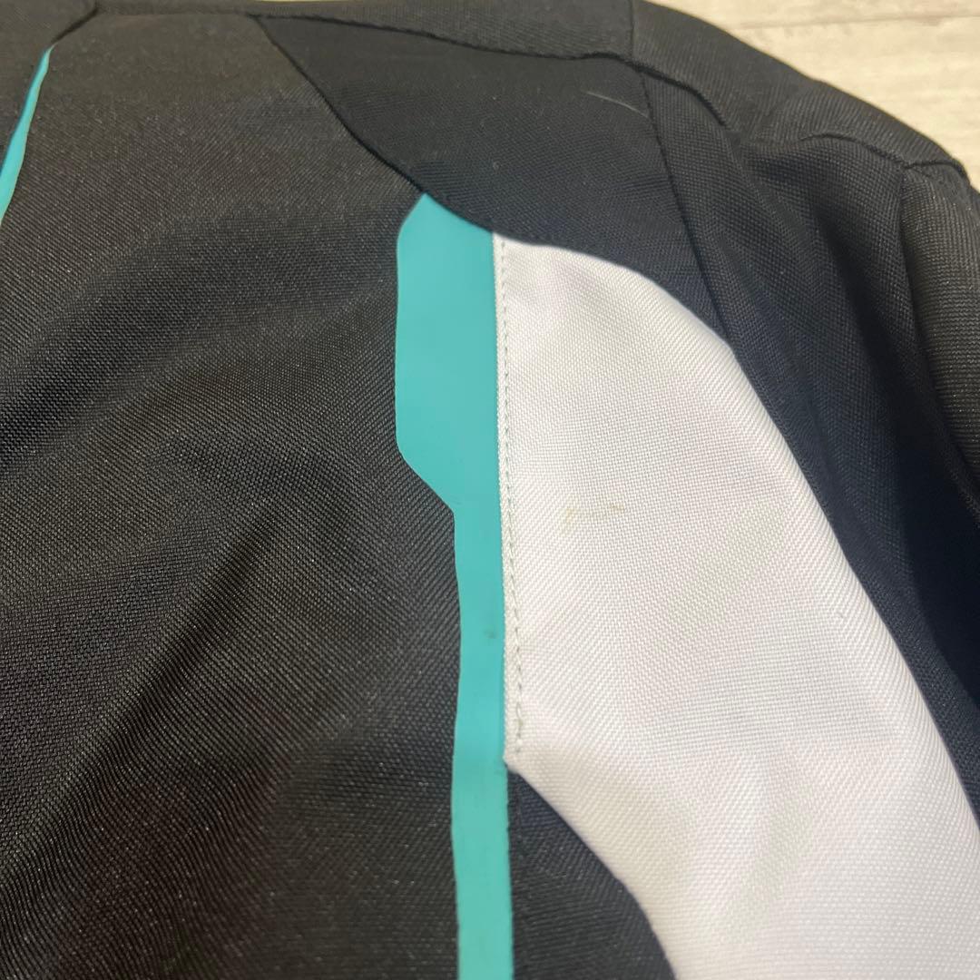 アルパインスターズ　ステラ　レディースS