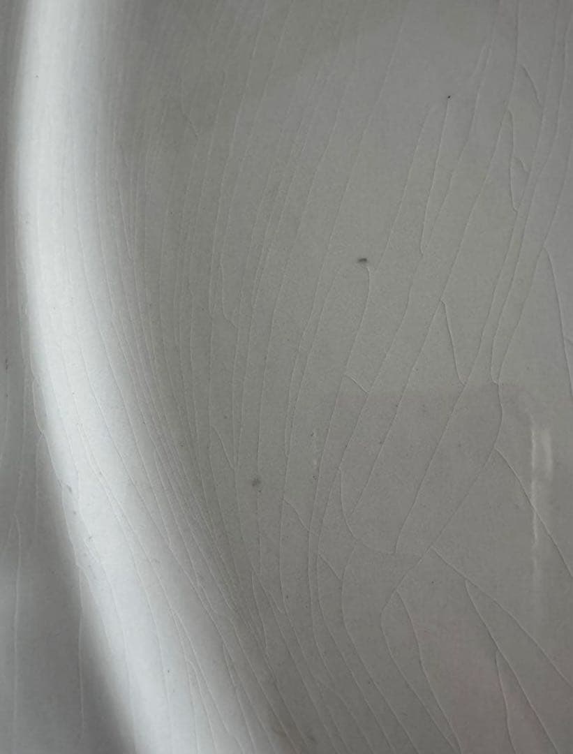 【レア】フランスアンティーク サルグミンヌ 花リムオーバル 大 約44cm