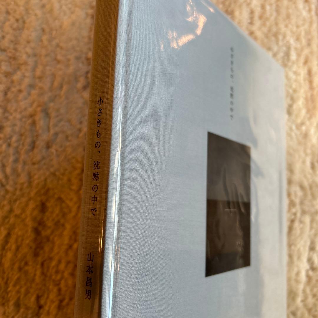 小さきものの沈黙の中で 山本昌男