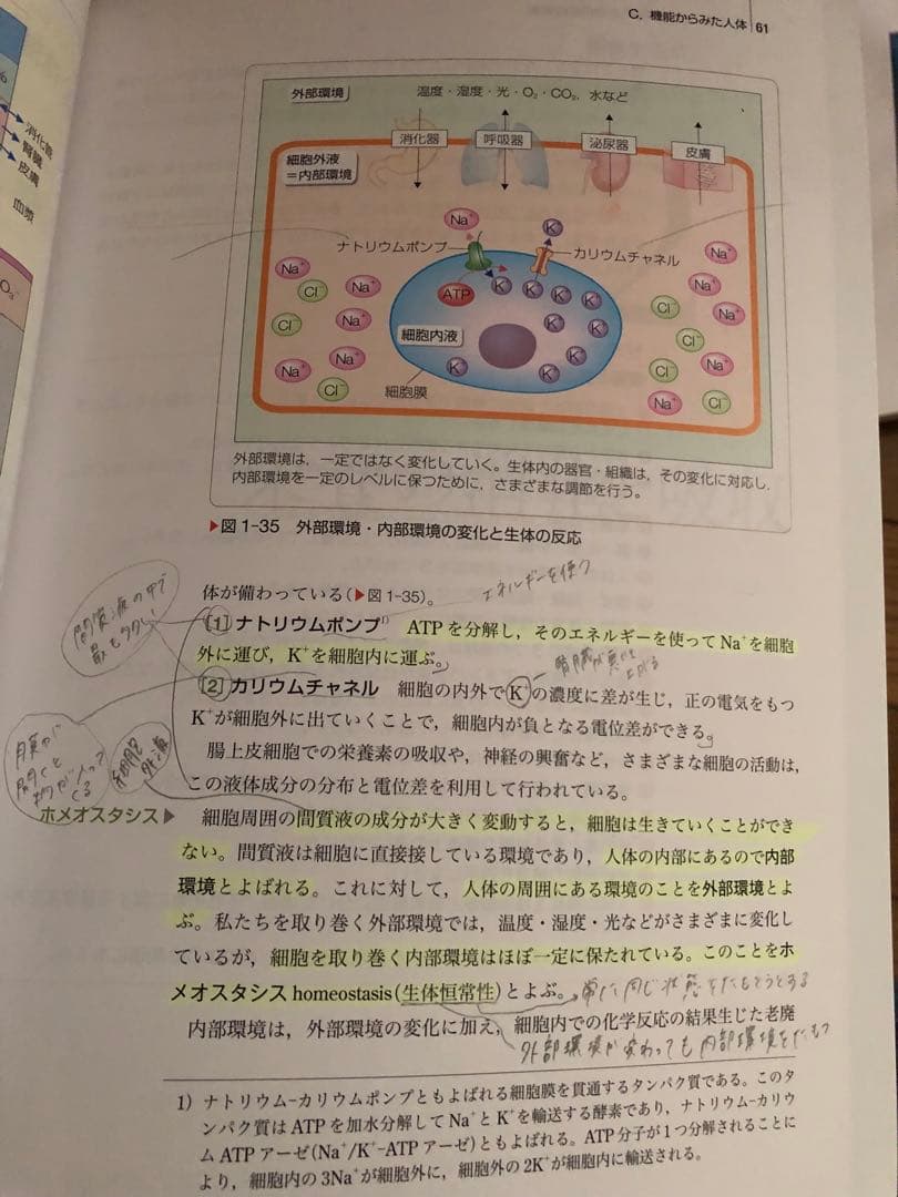 医学書院 教科書