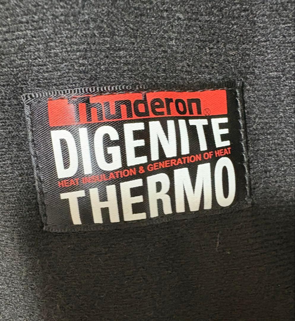 ♦︎美品♦︎フェニックスphenixスキーウェア　スノボウェア　メンズ　L