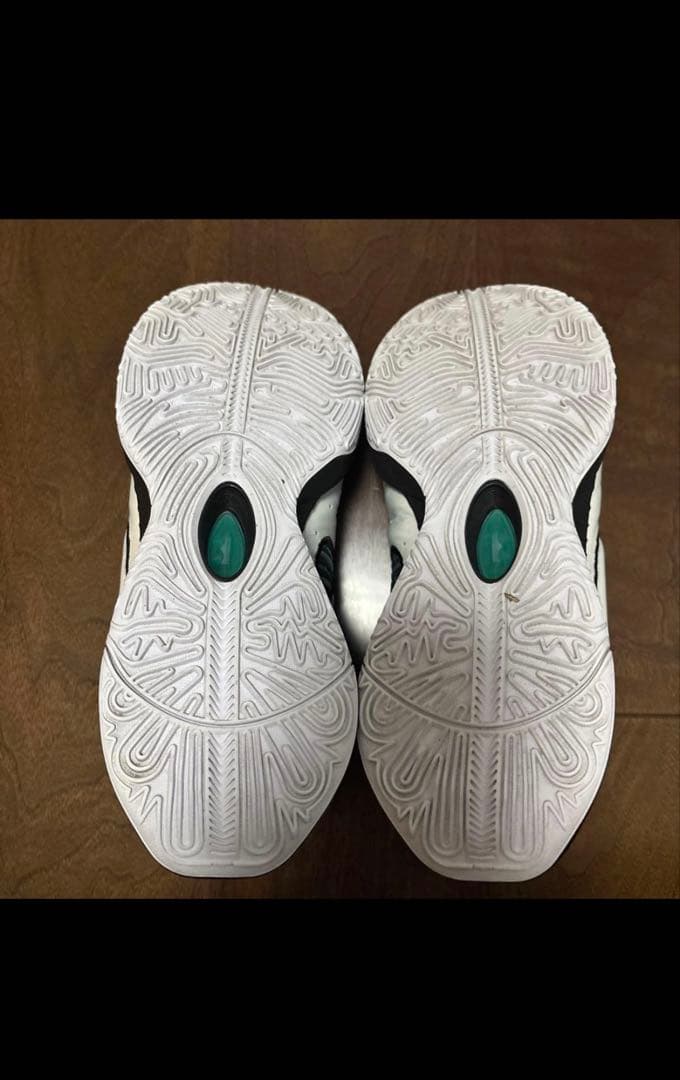 レブロン21 29センチ　バスケットボールシューズ