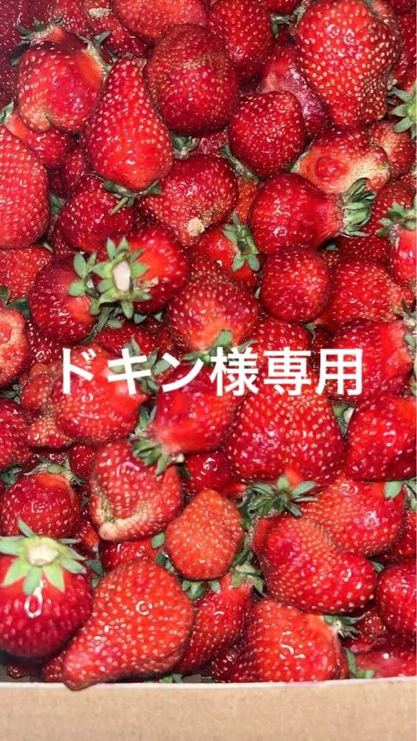 ドキン様★ピンク ショルダーバッグ非売品ノベルティ