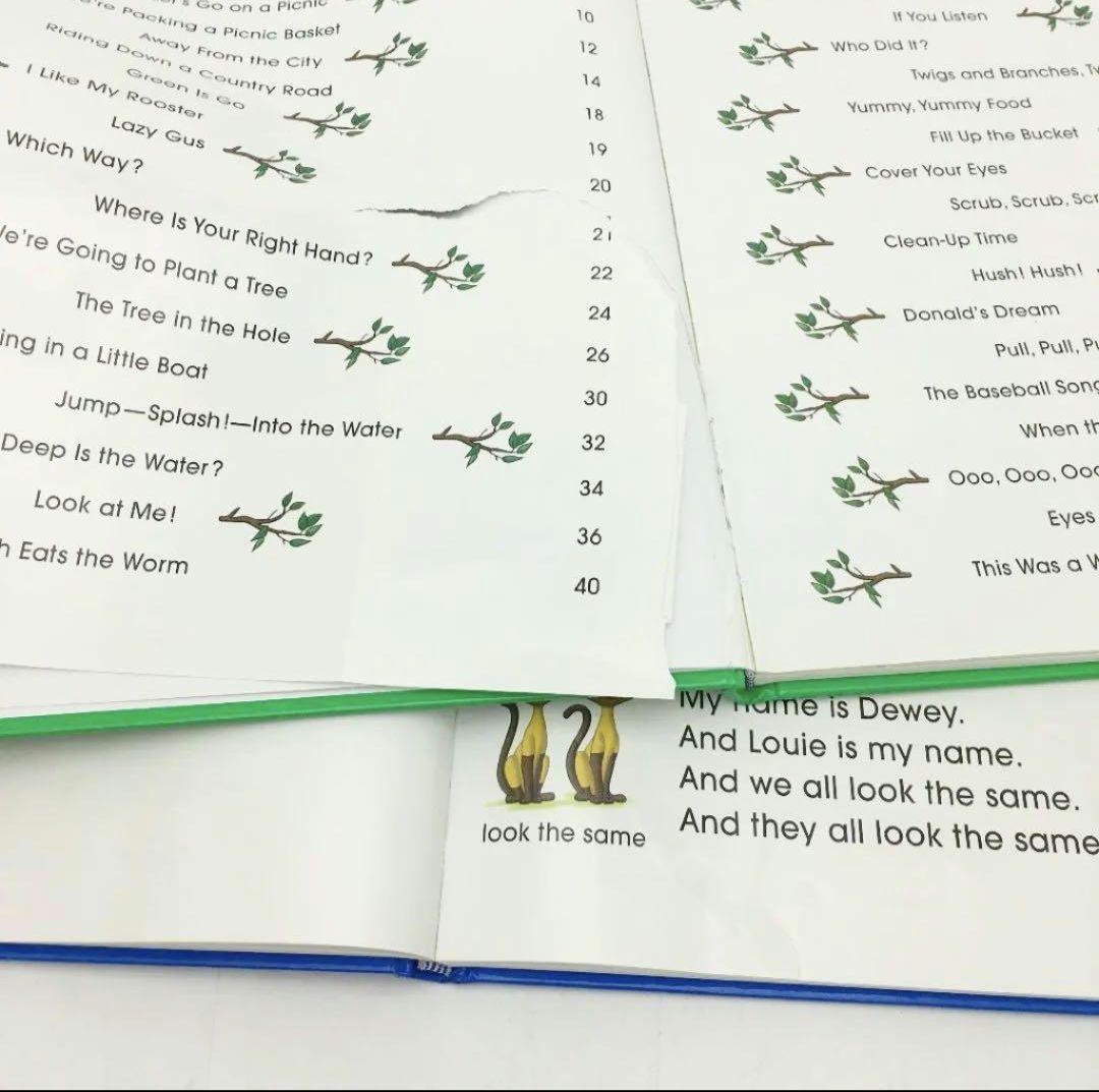 2010年に正規で購入されたシングアロロング絵本&CD&DVDセット