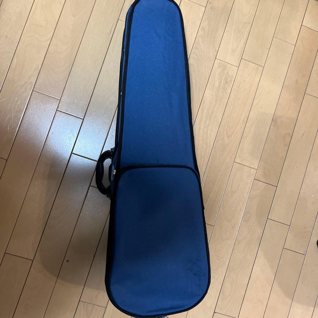 Hallstatt エレクトリックバイオリン ケース付き　CV-210E