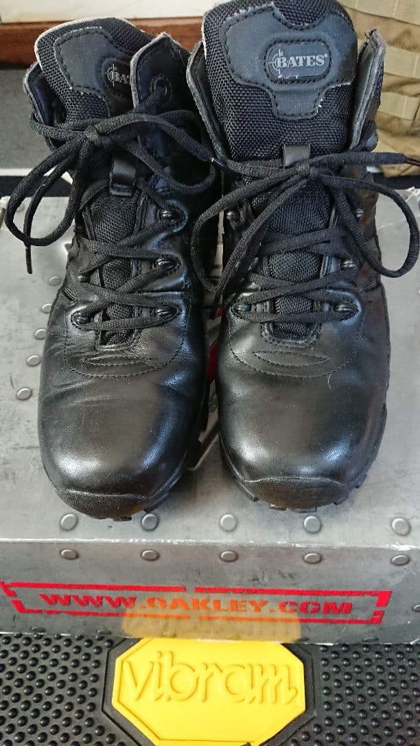 ベイツ bates DELTA6 gore-tex 7EW 25～26㎝