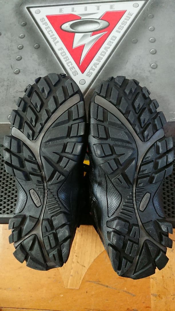 ベイツ bates DELTA6 gore-tex 7EW 25～26㎝