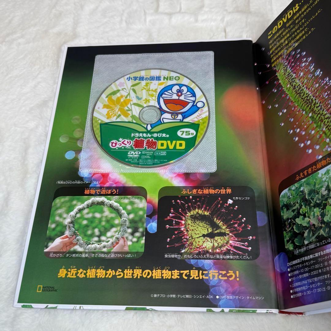 小学館の図鑑NEO 11冊セット 新版 DVD付属あり