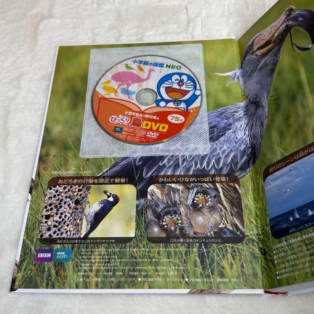 小学館の図鑑NEO 11冊セット 新版 DVD付属あり