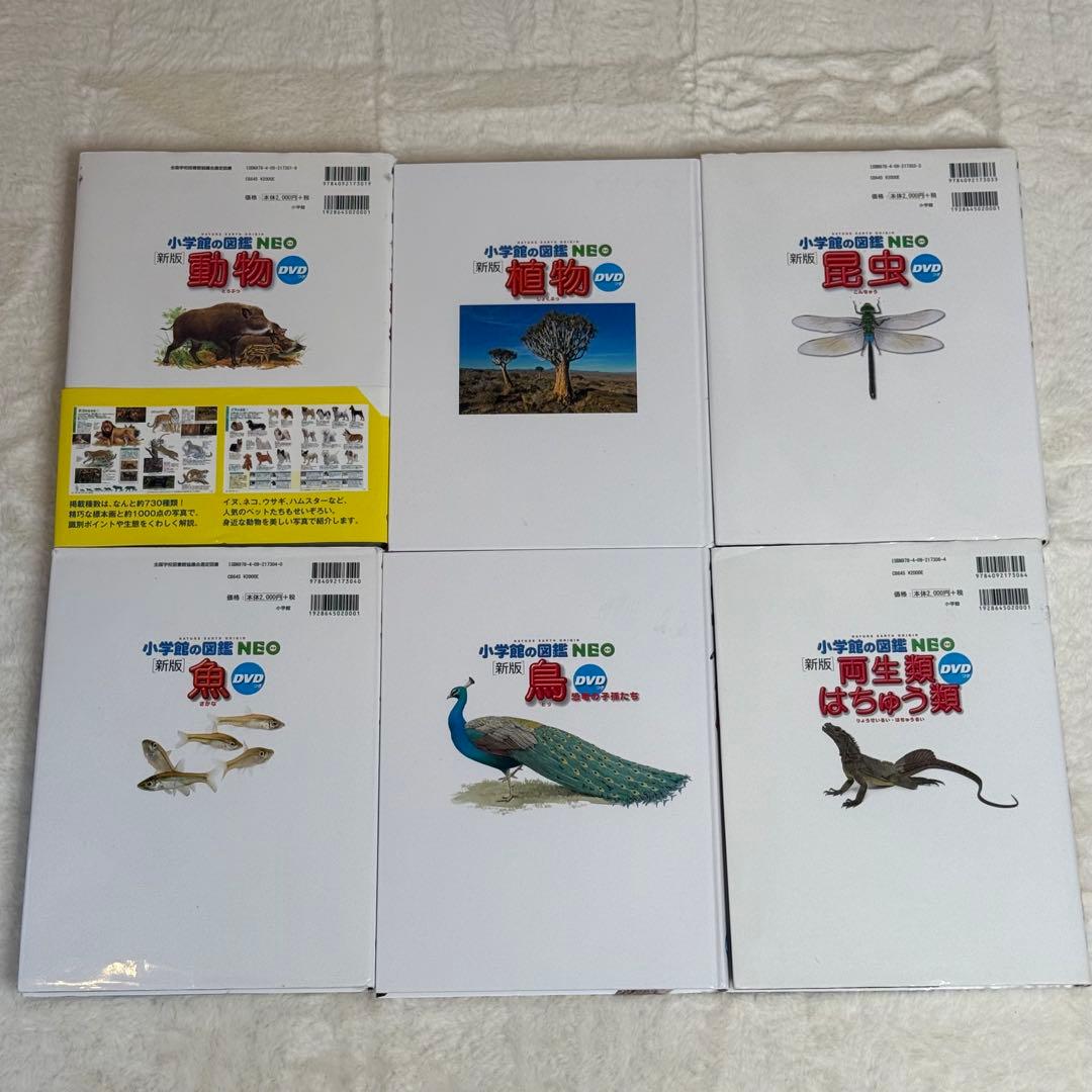 小学館の図鑑NEO 11冊セット 新版 DVD付属あり