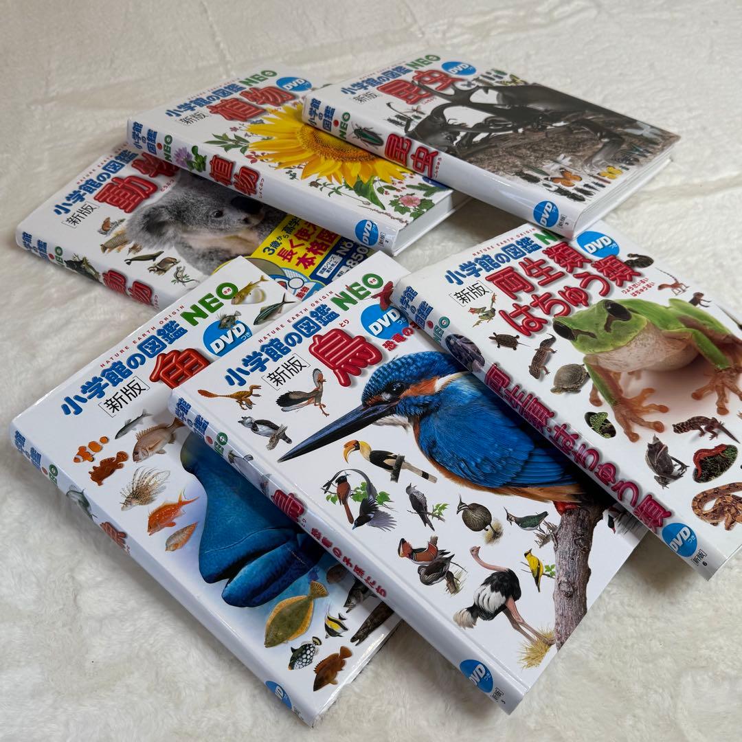 小学館の図鑑NEO 11冊セット 新版 DVD付属あり