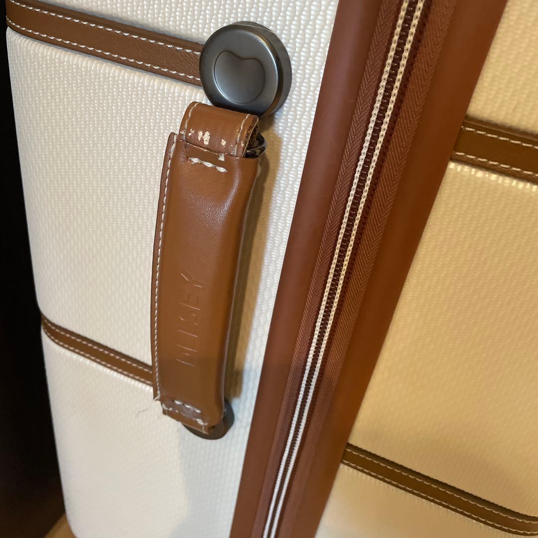 DELSEY ホワイト 110L キャリーケース