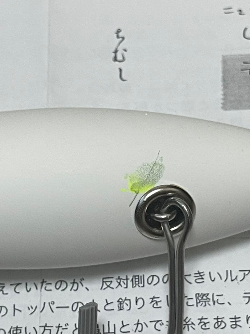 痴虫 でっカブメスJr デイドリーム 大戦モデル 激レア チムシ ちむし