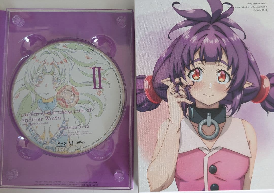 異世界迷宮でハーレムを Blu-ray BOX 上下巻セット