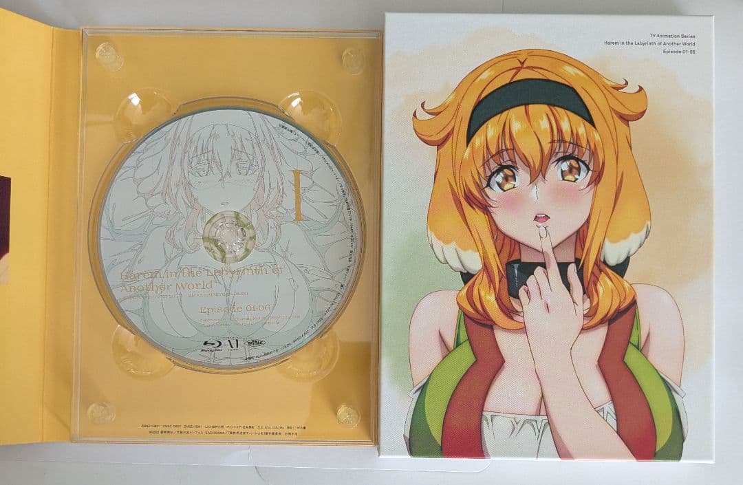 異世界迷宮でハーレムを Blu-ray BOX 上下巻セット