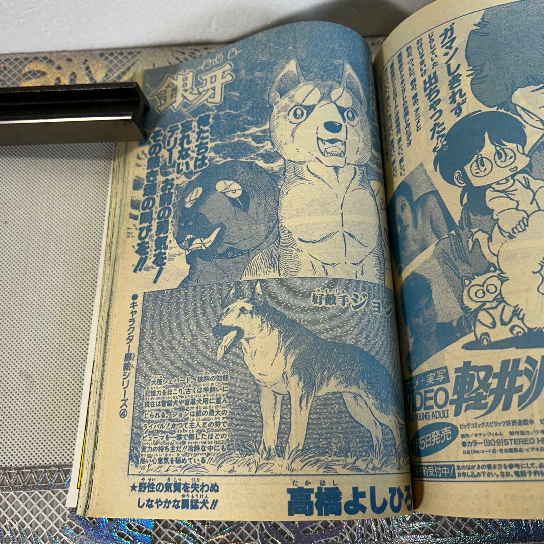 週刊少年ジャンプ 1985年　鳥山明　DRAGON BALL　ドラゴンボール