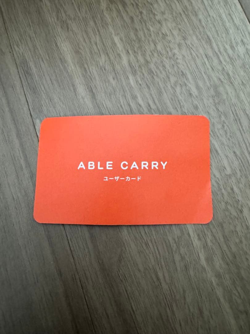 バッグ AbleCarry Thirteen Daybag