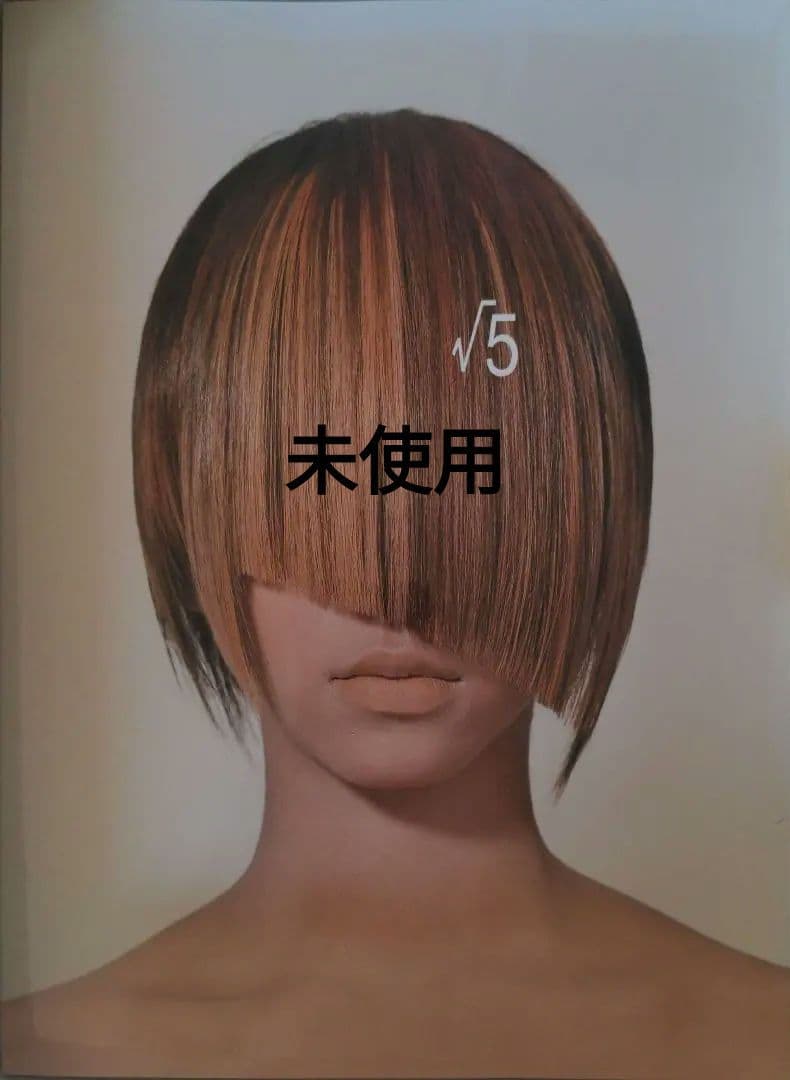 √5 DADA 植村隆博