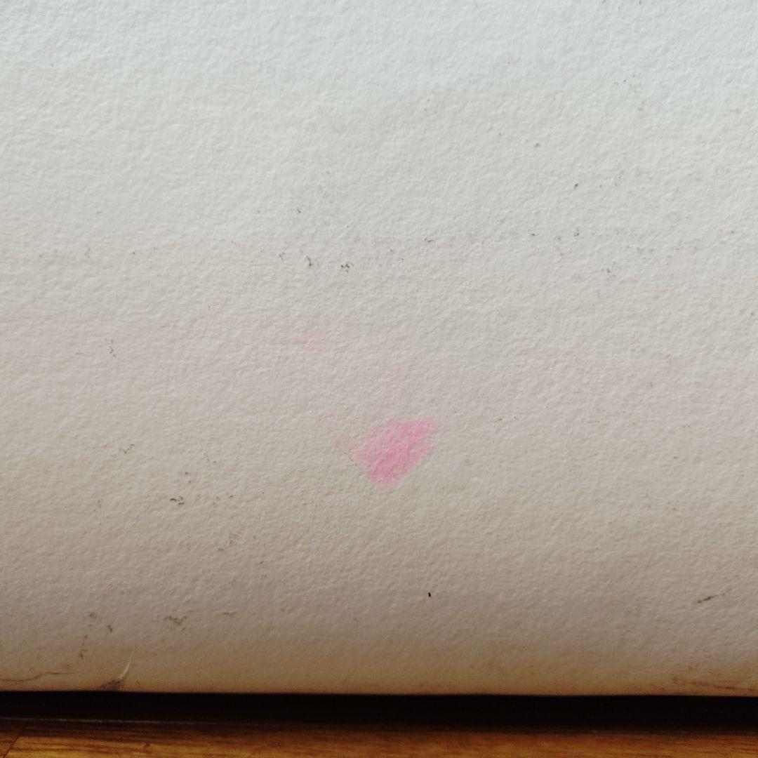 グローブトロッター サファリ30インチ 80L トランク 旅行バック ヌメ革