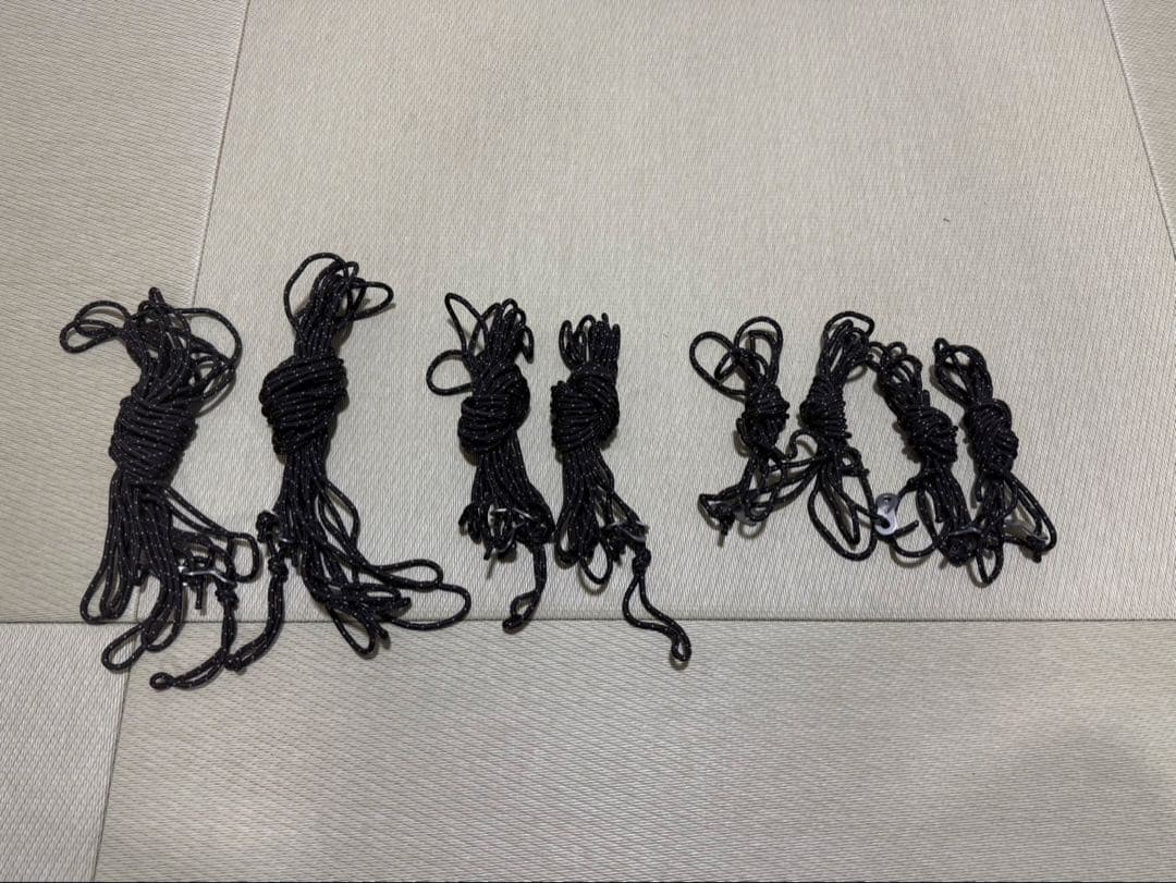  Peak スノーピーク ランドステーション M Pro.air