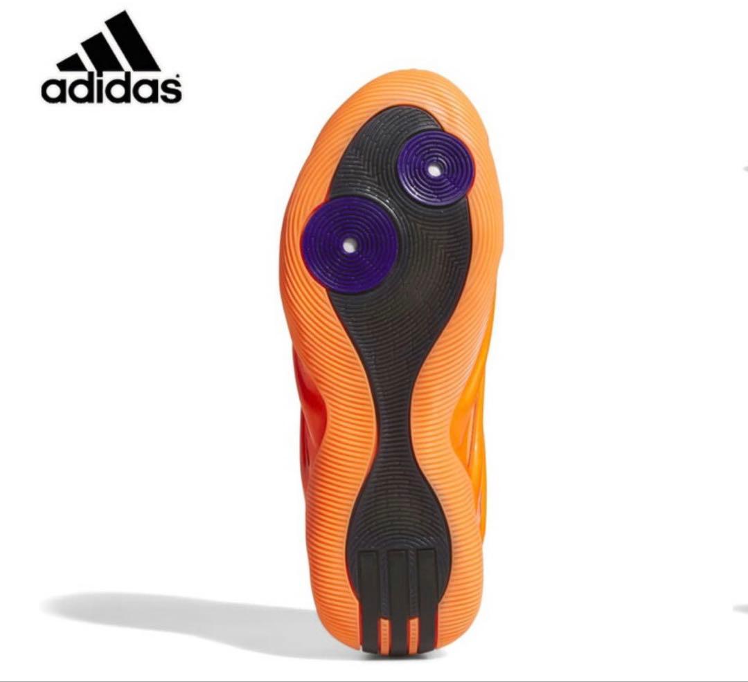 シューズ(男性用) HARDEN ver.9 25cm