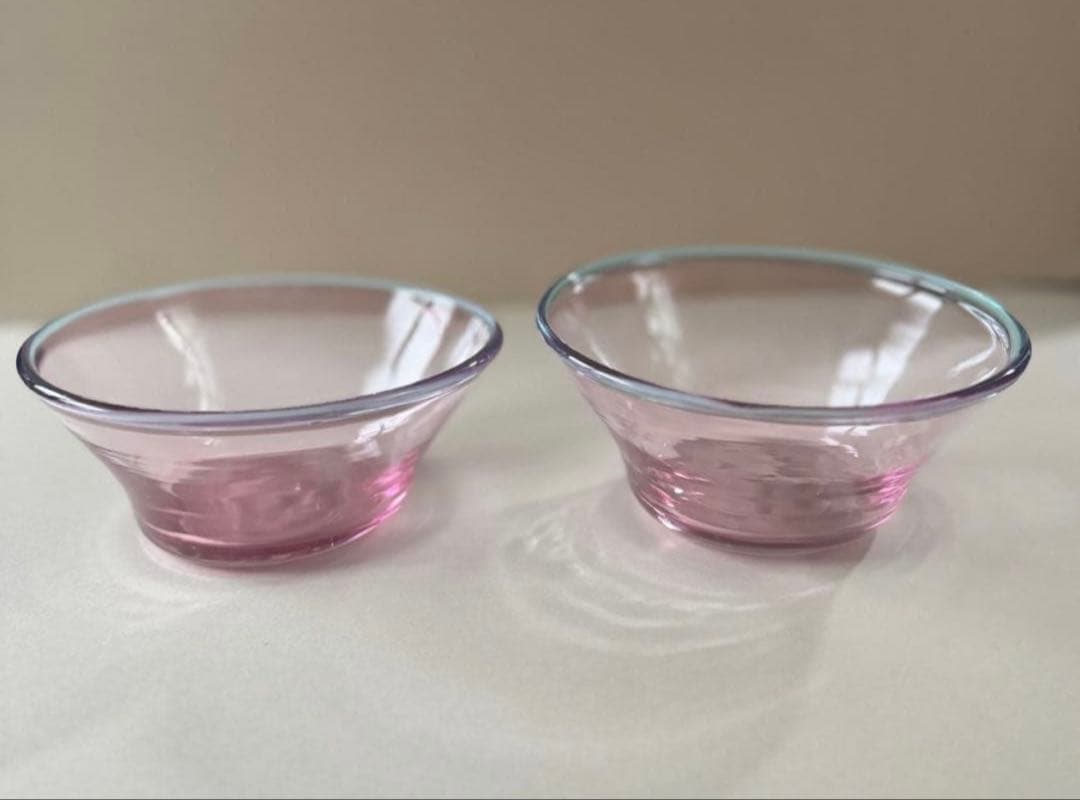 ⚠️出品11月末まで⚠️ おおやぶみよ さんのガラス鉢セット