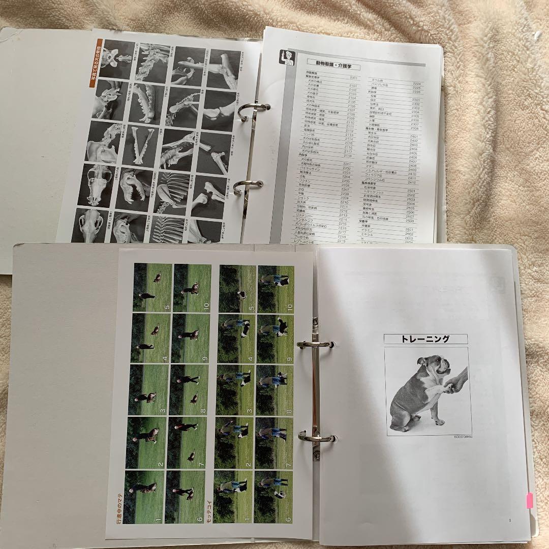 トリマー トレーニング 動物看護 アカデミー通信講座 DVDセット 犬 参考書