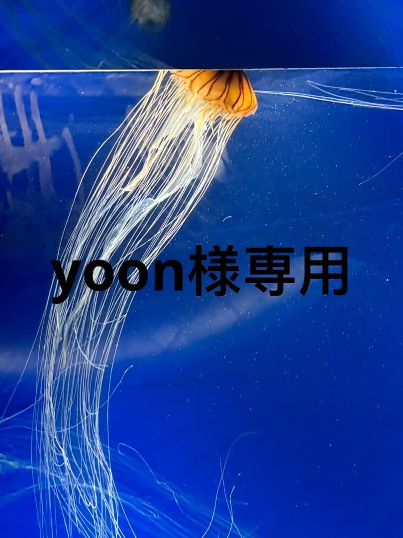 トライアルセット・サンプル yoon
