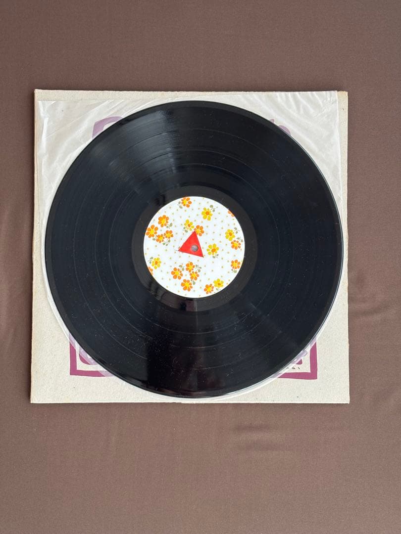 アート・デザイン・音楽 PUNGO 1980-1981