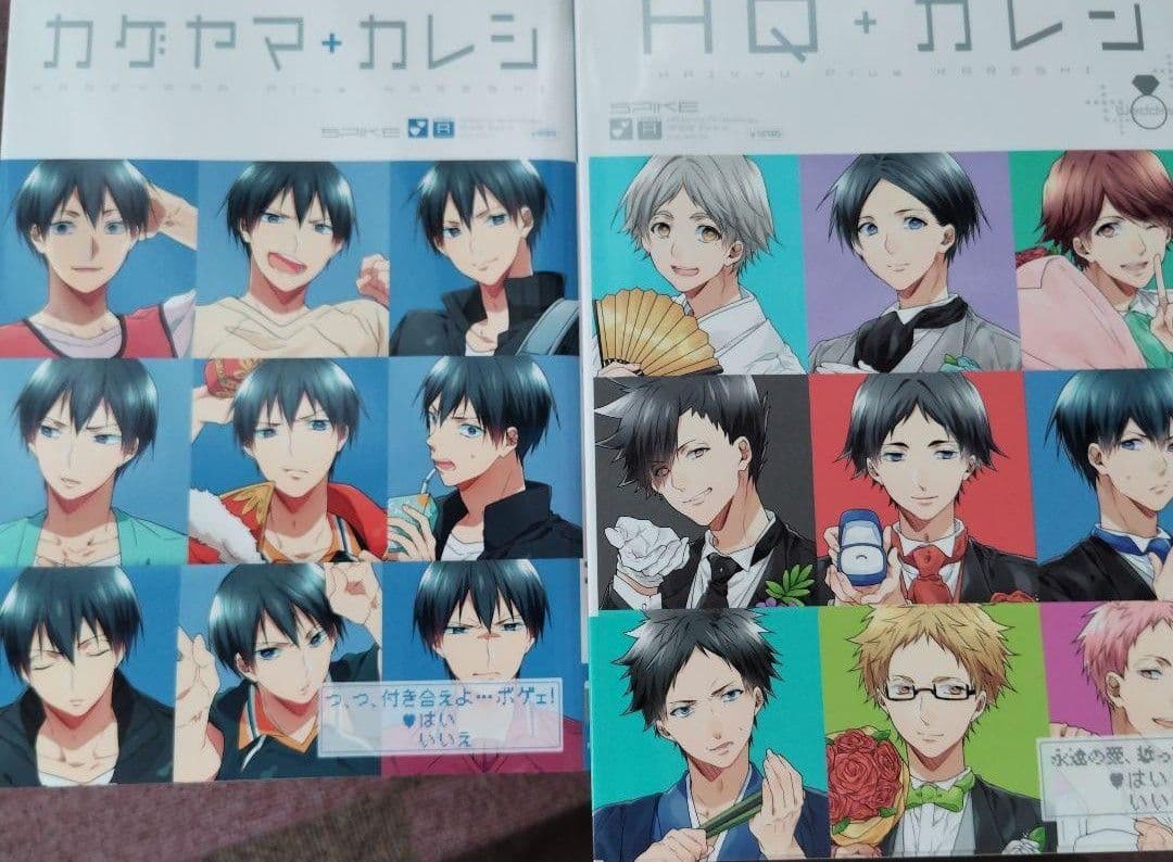 HQ+カレシ　HQカレシ　ハイキューカレシ　29冊