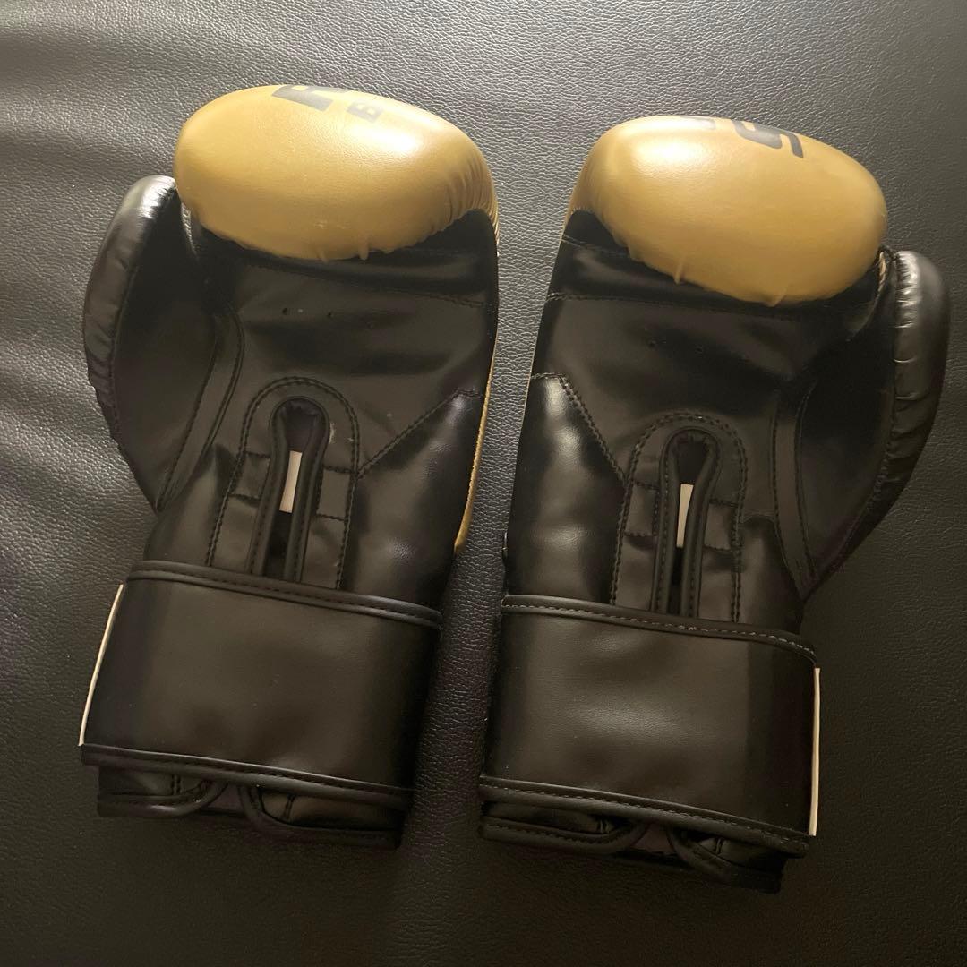 rebellious behavior ボクシンググローブ　８オンス