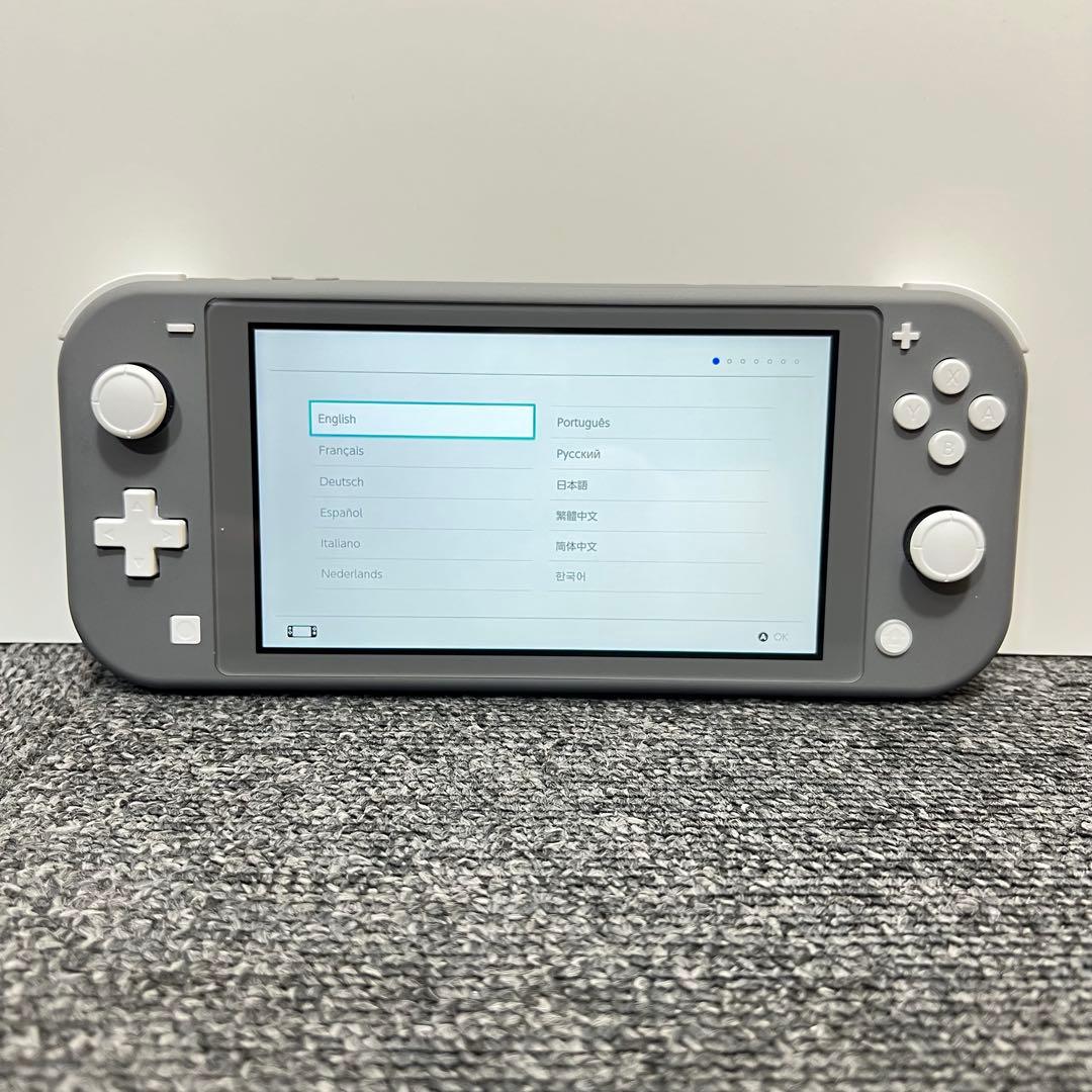 チ*ム様 スイッチライト SwitchLite グレー 本体 2025年製 完品