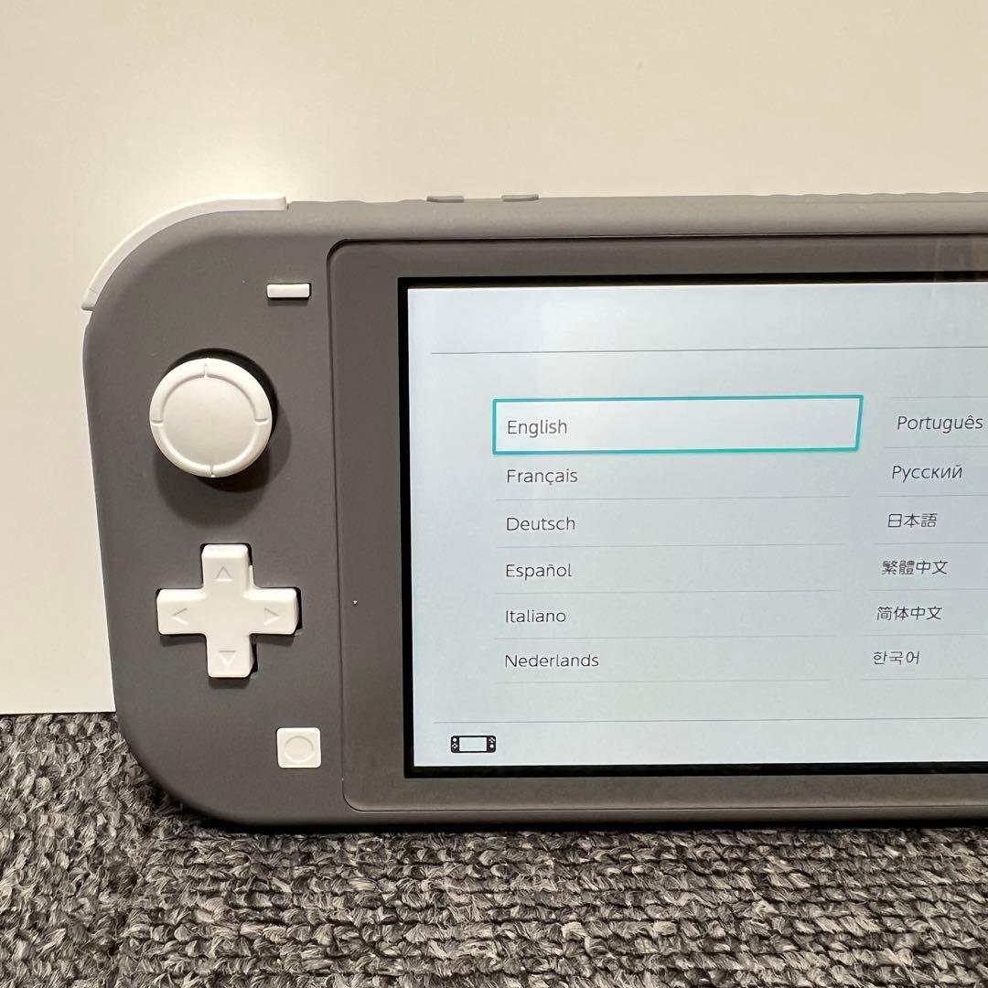 チ*ム様 スイッチライト SwitchLite グレー 本体 2025年製 完品