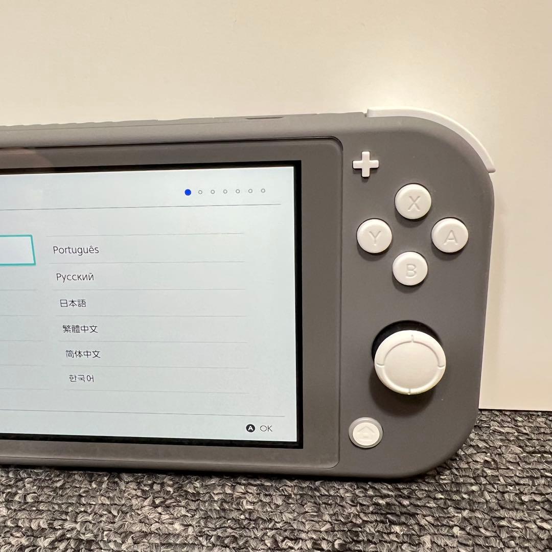 チ*ム様 スイッチライト SwitchLite グレー 本体 2025年製 完品