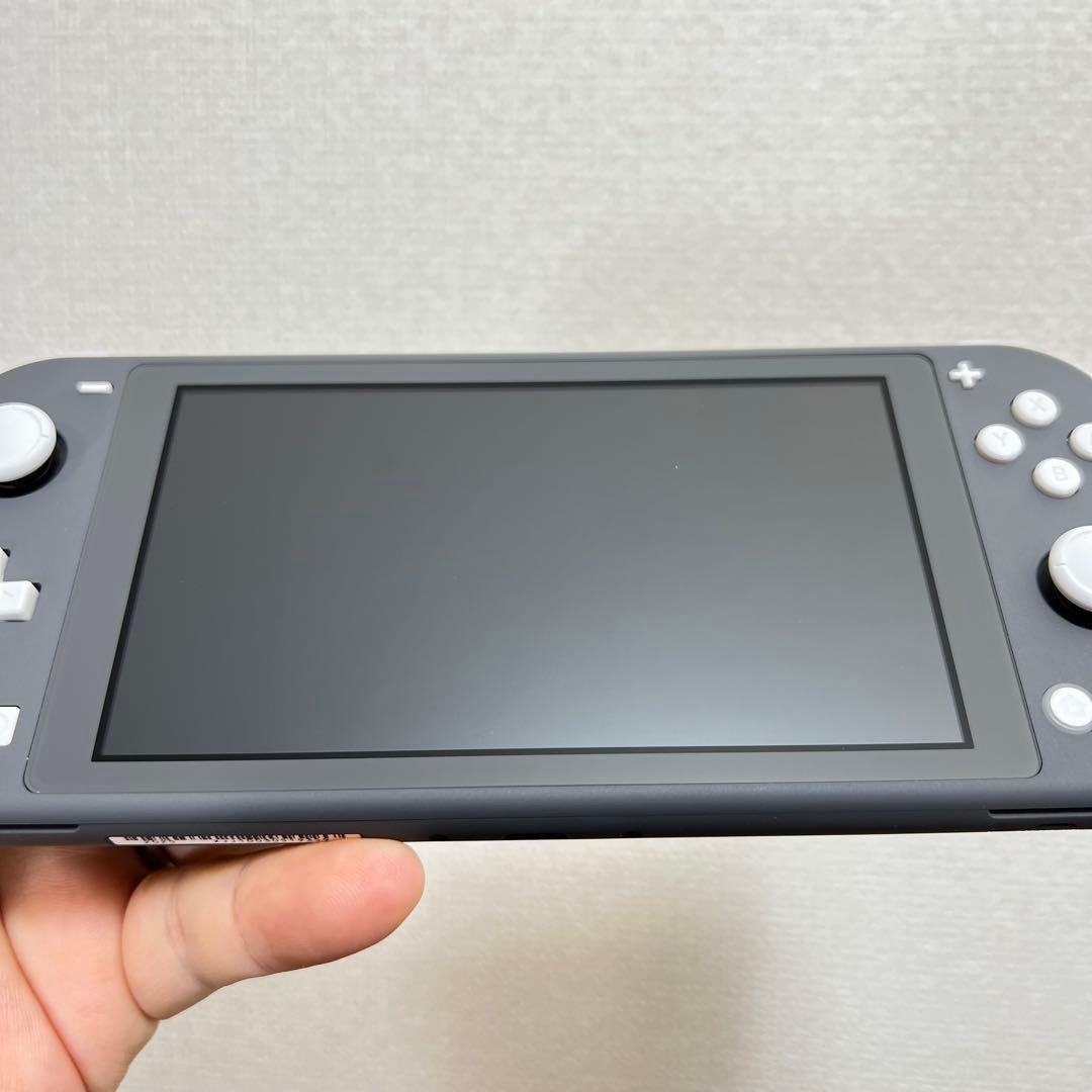 チ*ム様 スイッチライト SwitchLite グレー 本体 2025年製 完品