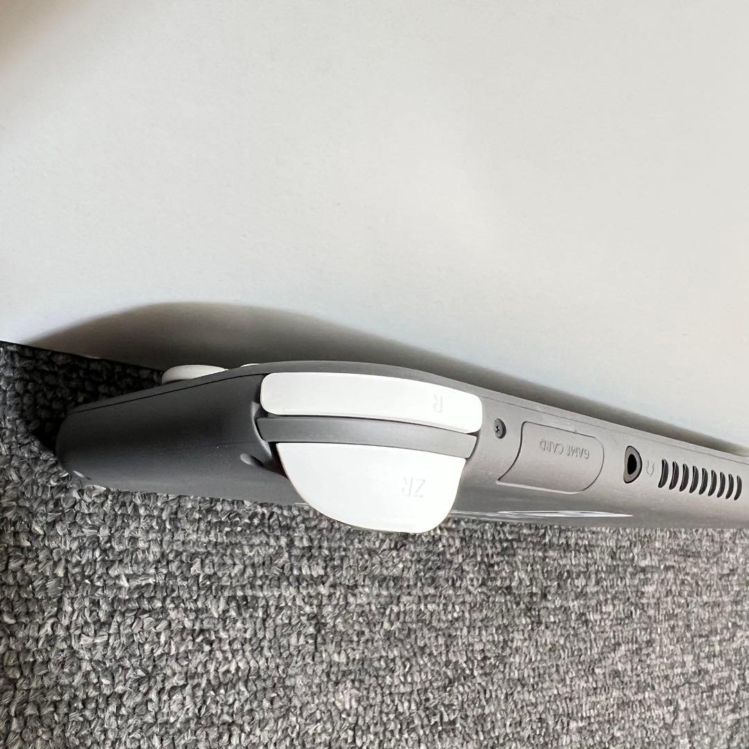 チ*ム様 スイッチライト SwitchLite グレー 本体 2025年製 完品