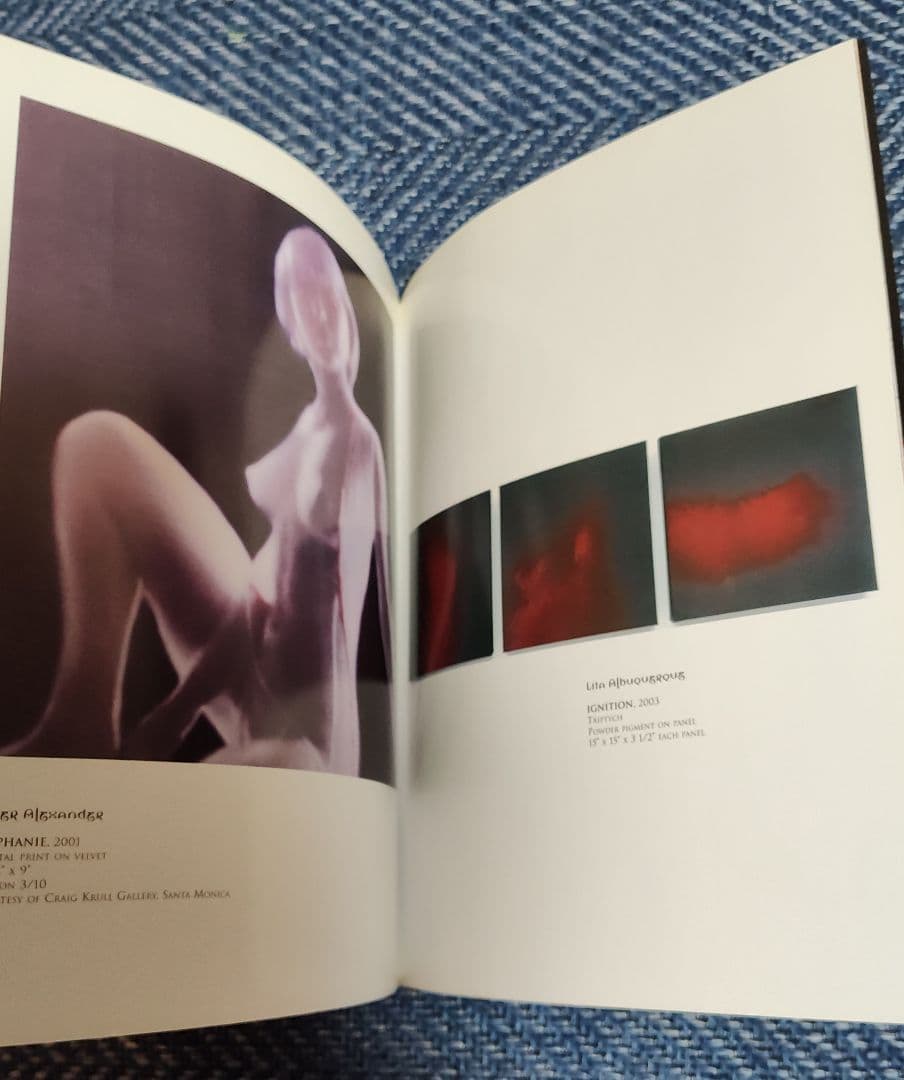 100 ARTISTS SEE SATAN アートブック☆洋書です☆