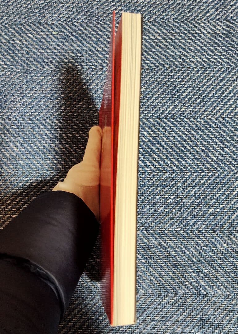 100 ARTISTS SEE SATAN アートブック☆洋書です☆